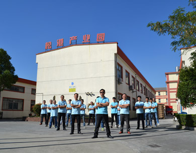 香蕉破解版视频机电业务团队